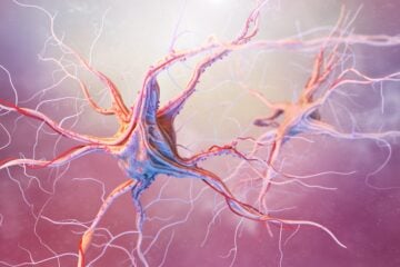 Artistic image of neurons